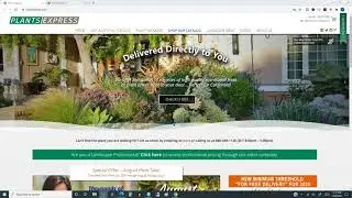 PlantsExpress.com Review (should you use them or a local garden center??)