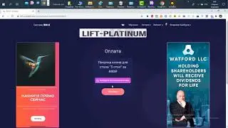Как работать в BIN X. Стратегия