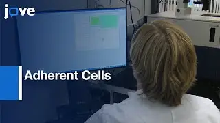 Target Engagement in Adherent Cells Quantification | Protocol Preview