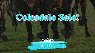 Colesdale Sale! #horsecare #equestrian #horsesupplements #farriers