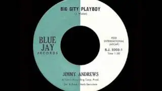 Jimmy Andrews - Big City Playboy