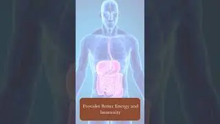 Deyli retirement# Protein#Advanced nutrition supplement# nilam jasoliya