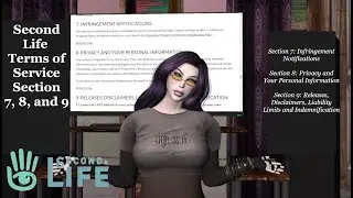 Second Life Lessons: Terms of Service Series  Section 7, 8 and 9