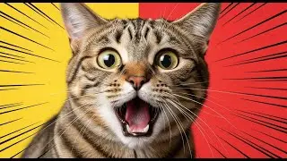 Cats Being Overly Dramatic 😂 Funniest Cat Moments