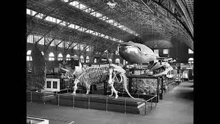 The Worlds Fair & Expositions, exploring the lost Empire of Tartaria and of Nikola Tesla.