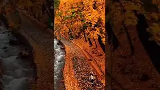 Stunning fall in Almaty - Kazakhstan 🇰🇿