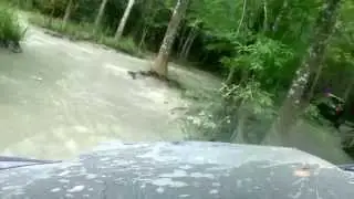 Gator Run Water Run!-Gator Run Offroad Park