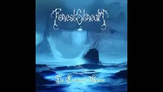 Forest Stream - Mired [HD]