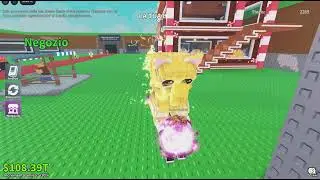 Mi gatito ritual