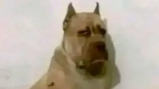 Versión fea y desactualizada de StepPhoenix