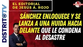 🔴EDITORIAL DEL DÍA🔴SÁNCHEZ ENLOQUECE Y SE LANZA A UNA HUIDA HACIA DELANTE QUE LE CONDENA AL DESASTRE