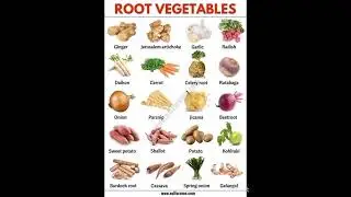 root vegetables #rootvegetables #vegetables #root #allvegetables