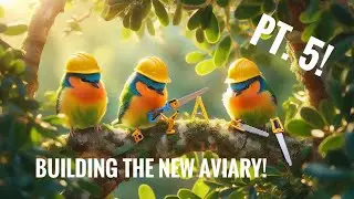 Building My Massive New Aviary! PT. 5