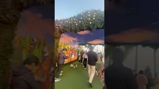 Dog friendly park
