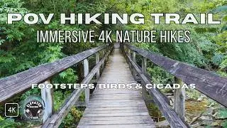 Relaxing Nature Hike with Forest Sounds | 4K Immersive Hiking Trail Experience