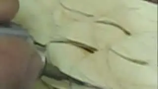 How to wood burn feathers