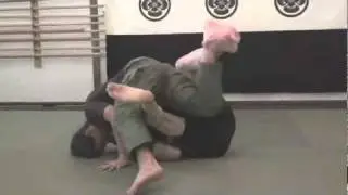 The Secrets of Systema Ground Fighting - DVD