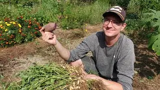 Summer Garden Tour 2024! | Wild Pines Farm