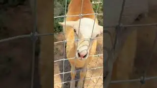 By Brothers Farm Miami Florida