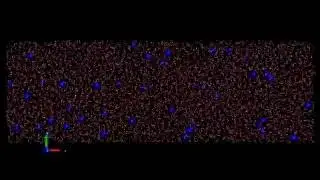 Electric field effects on sodium ions (1V/nm)