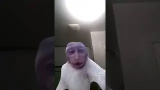 damn monkey pokes......