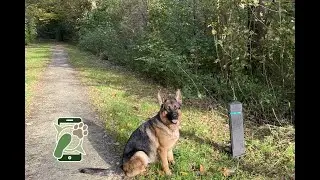 Losloopgebied het Biddingbos Biddinghuizen te Dronten