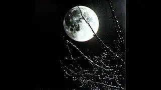 LILDRUGHILL & SABU - night moon (slowed + reverb)