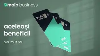 Maib Visa Business Card