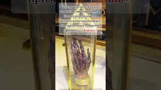Кто прикоснется круке святой великомученицы Екатерина значитав вашем ...