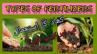 How We Can Use Fertilizer And When ? | Types Of Fertilizers | #fertilizer #fertilizertypes