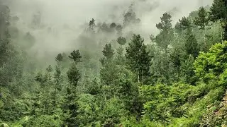Murree beautiful view | beauty of Pakistan | ItzMishi