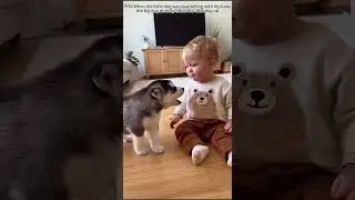 Dogs Protect Babies&mdash; Heartwarming Moments 🐶👶