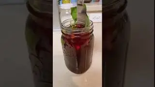 How to Make a Delicious Shrub