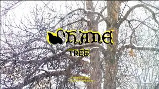 Shane - Jeff & Crystal - TREE