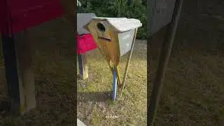 Funky Mailboxes in Arthur&rsquo;s Point