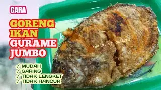 TIPS MENGGORENG IKAN GURAMI AGAR TIDAK LENGKET TIDAK HANCUR DAN GARING