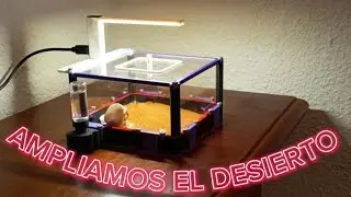 Ampliamos el hormiguero del desierto!! (novomessor albisetosus)