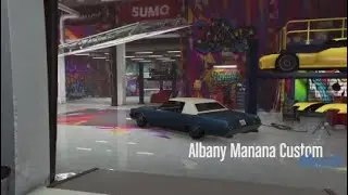 Albany Manana Custom