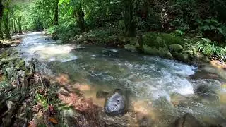 Serenity by the River: Soothing Sounds to Relax and Unwind | Relaxing River Sound