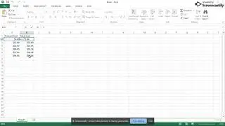 Exploring Excel Lesson 5