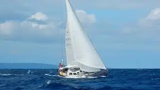 Koopmans 48