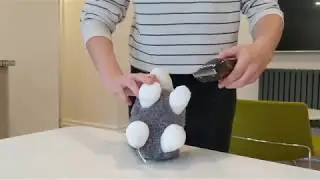 Shearing Little Herdy!