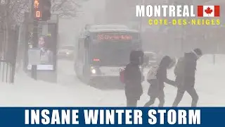 Snow Storm in Canada Winter of 2020! Montreal, Quebec Snowstorm  #snow #snowstorm #Montreal