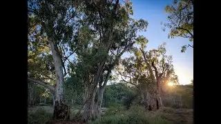 Mambray Creek Campground (Newly Renovated) to Hidden Camp Hike. Mt Remarkable National Park, S.A.
