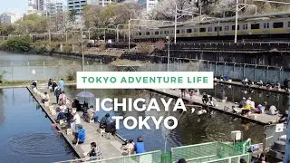 Walking Around Tokyo (Ichigaya) 市ヶ谷