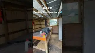 Day 2 of turning old shed into a man cave and gym.
