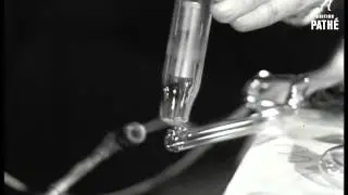 Neon Signs (1952)