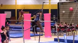 Dallas Gymnastics passion Project