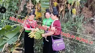 PI nọng ơi à Diện tích tô cảnh khổ khó khăn 