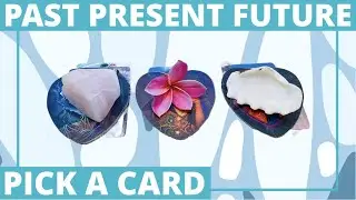 🔮🌺🐚Past present future love🔮PICK A CARD (timeless)